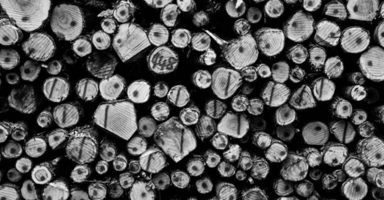 Resources - Grayscale Photography of Wirewood Logs